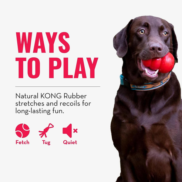 KONG Tug Toy - Dog Supplies for Tug of War - Natural Rubber Dog Toy for Outdoor & Indoor Playtime - for Medium/Large Dogs5