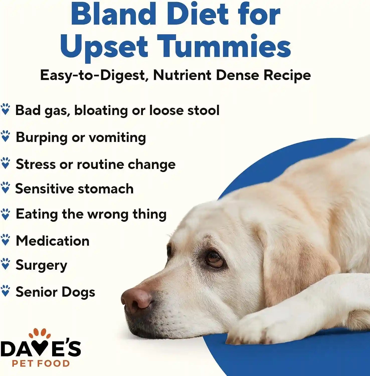 daves-pet-food-bland-diet-dog-food-chicken-rice-sensitive-stomach-easy-to-digest-pate-gluten-free-digestive-care-low-fat-6-limited-ingredients-complete-balanced-13-2-oz-case-of-12