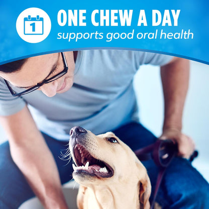 Dentalife Purina Daily Oral Care Dental Large Dog Treats, Pack of 2, 30 Ct | for Large Dogs 40+ Lbs, Chicken-Flavored Dental Chews That Freshen Breath and Fight Tartar Buildup, Made in the USA7