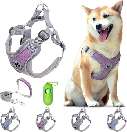 Patas Lague Dog Harness with Leash Set for Small Medium Dogs, No Pull No Choke Reflective Step in X Head Pet Harness Vest with Poop Bags and Dispenser, Adjustable and Padded, Grey Small8