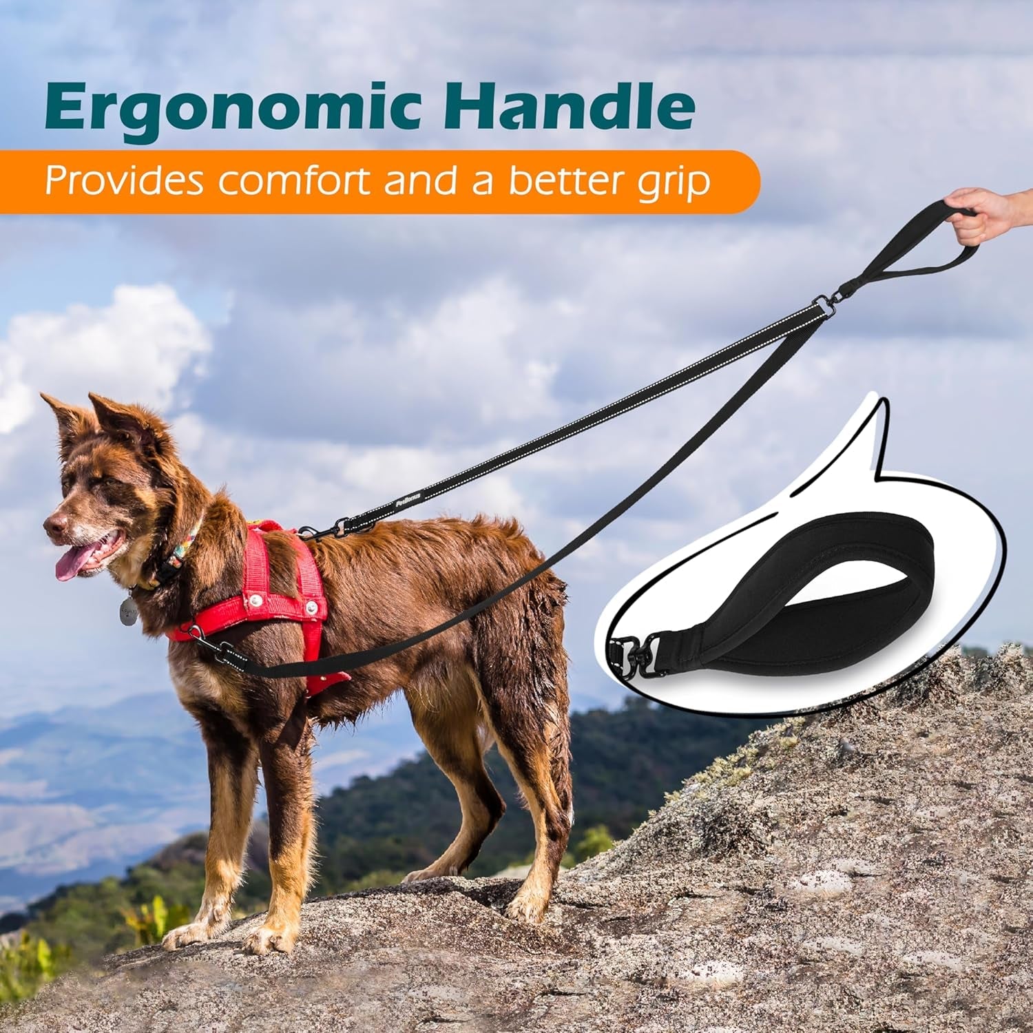 petbonus-two-point-control-dog-leash-no-tangle-training-walking-leashes-soft-padded-handle-reflective-works-with-no-pull-harnesses-converts-to-single-lead-for-medium-large-dogs-black