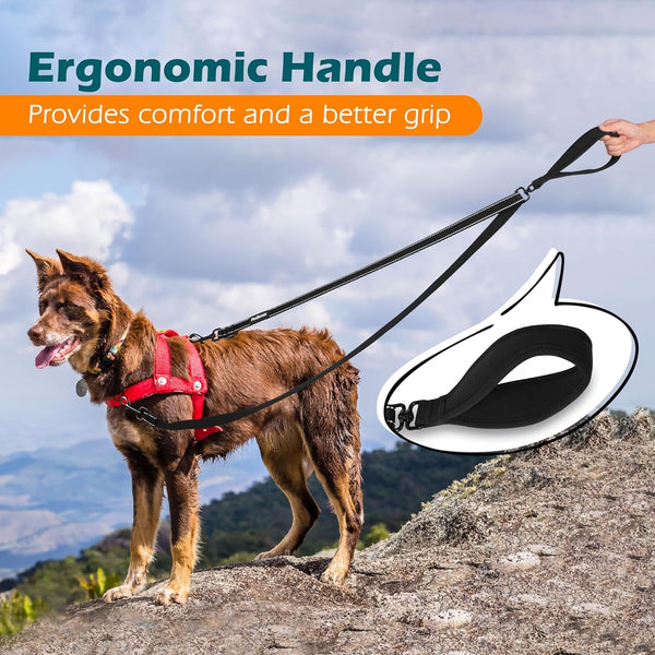 Petbonus Two Point Control Dog Leash, No Tangle Training Walking Leashes | Soft Padded Handle, Reflective, Works with No Pull Harnesses, Converts to Single Lead for Medium Large Dogs, Black5