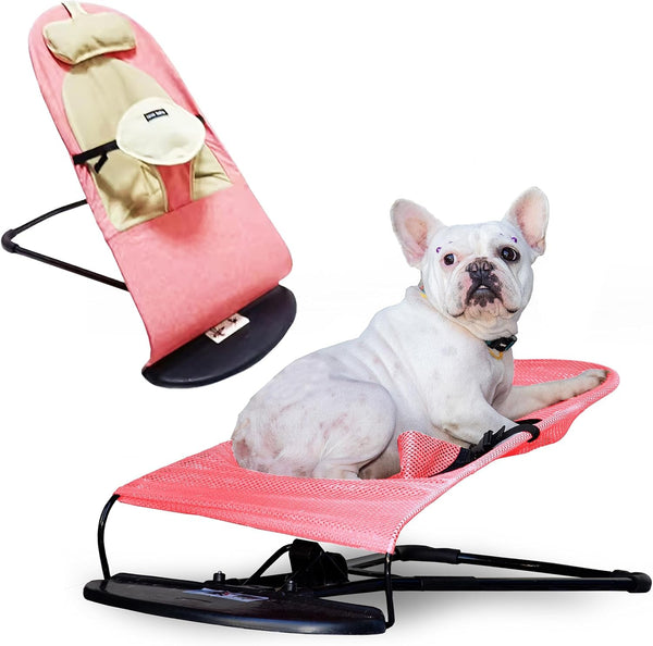 Cat & Dog Rocking Chair - Bouncer Bed for Frenchie, French Bulldog Lounge, Outdoor Portable Foldable Pet Furniture. Adjustable Height, Breathable Mesh, Safety Harness for Small Animals & Puppies9
