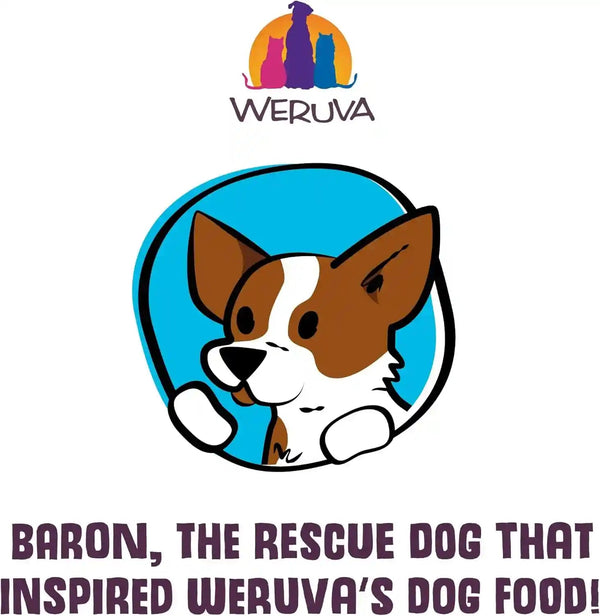 Weruva Dogs in the Kitchen, Variety Pack, Pooch Pouch Party!, Wet Dog Food, 2.8Oz Pouches (Pack of 12)10