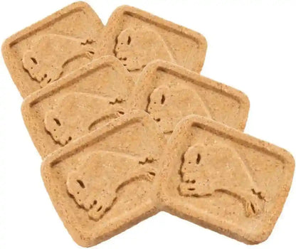 Blue Buffalo Health Bars Pumpkin & Cinnamon Crunchy Dog Biscuits, Oven-Baked with Pumpkin & Natural Ingredients, Healthy Dog Treats with No Artificial Flavors or Preservatives, 16 Oz.31