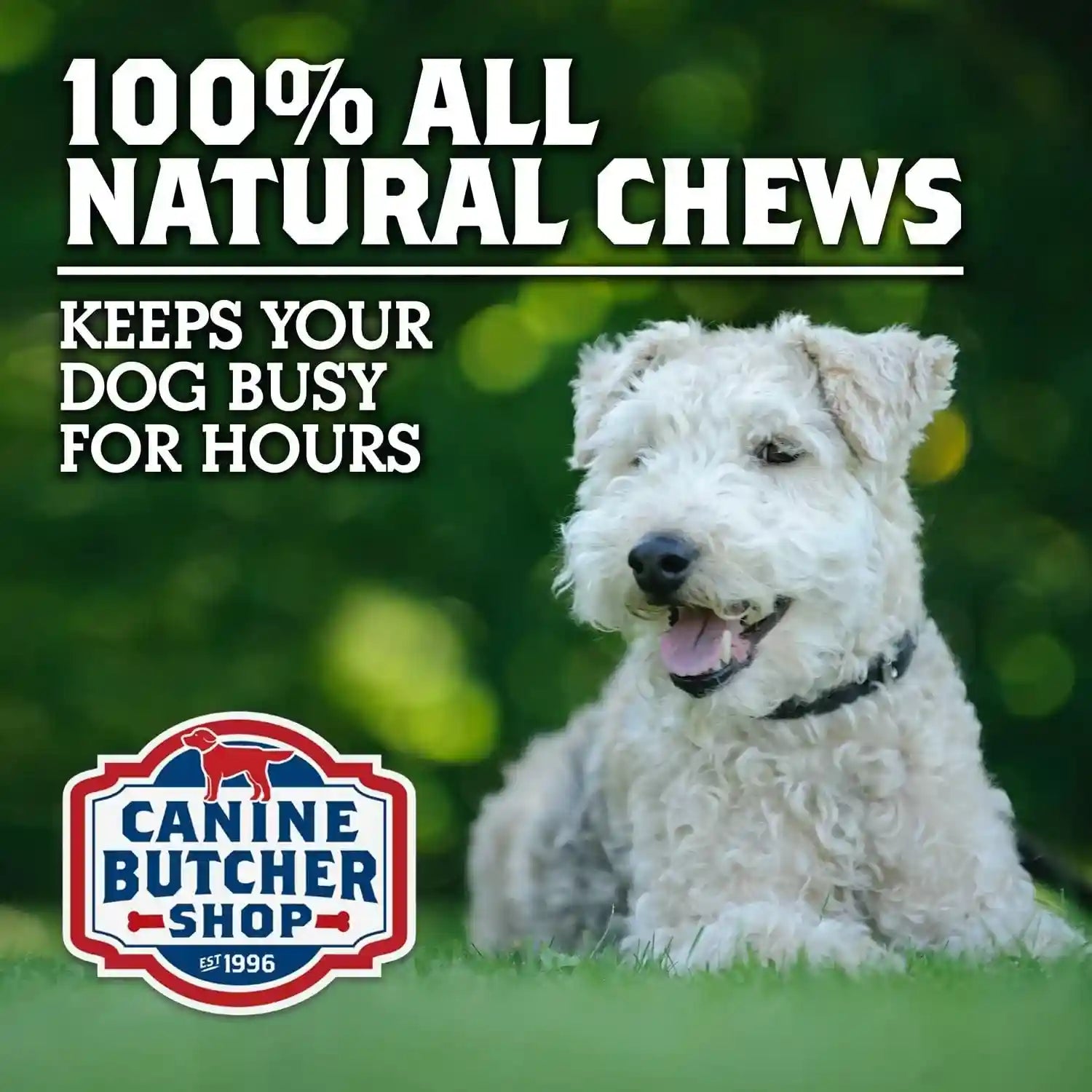 pig-ears-for-dogs-always-usa-made-30-pack-all-natural-sourced-in-usa-pig-ears-digestible-pork-dog-chew-treat-slow-cooked-dried-for-aggressive-chewers-supports-dental-health-satisfies-natural-chewing-instinct-made-in-the-usa