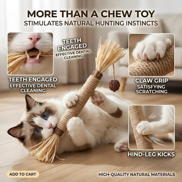 Cat Toys 12PCS Mix Catnip Chew Rope Silvervine Stick for Indoor Cat2
