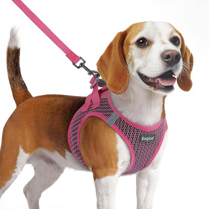 Eagloo Small Dog Harness and Leash Set, Step in Small Sized Puppy Pet Vest | Light, Soft, Breathable Air Mesh, Easy on and off with Hook & Loop, Reflective for Safe Walking, Pink, S43