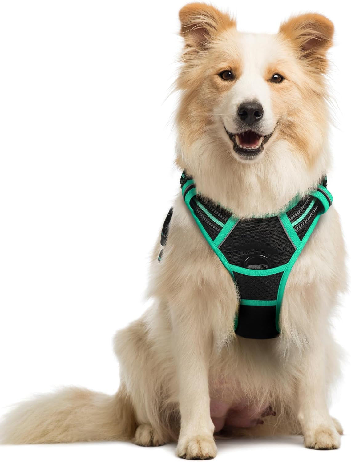 rabbitgoo-dog-harness-no-pull-for-large-dogs-with-2-leash-clips-pet-vest-no-choke-with-handle-adjustable-soft-padded-reflective-easy-control-for-walking-black-large