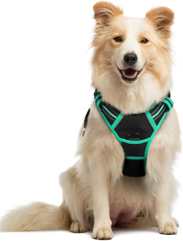 Rabbitgoo Dog Harness, No Pull for Large Dogs with 2 Leash Clips, Pet Vest | No Choke with Handle, Adjustable Soft Padded, Reflective, Easy Control for Walking, Black, Large108