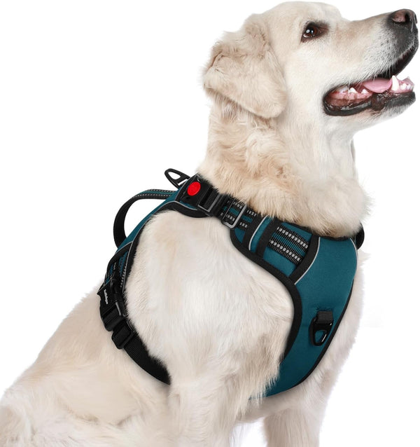 Rabbitgoo Large Dog Harness, Easy Wear with 3 Buckles and Lift Handle | No Pull with Front Clip for Walking, Adjustable Soft Padded, Reflective, Easy Control, Pink, Large34