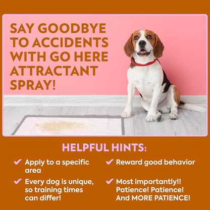 OUT! Petcare Go Here Attractant, Potty Training Spray for Dogs, 32Oz | Dog Pee Spray, Puppy Potty Training, Housebreaking, Indoor & Outdoor, Pee Here Training, Training Aid, Easy Application7