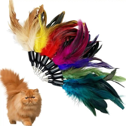 Cat Feather Toys Refill, 16 Pieces Cat Wand Replacement Feathers Toy for Indoor Cats5