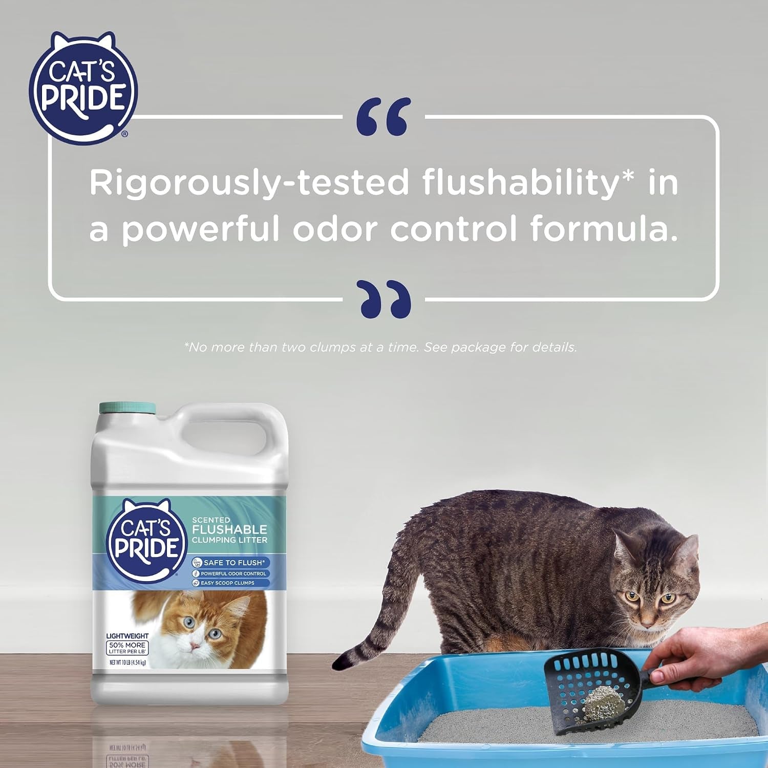 cats-pride-lightweight-clumping-litter-flushable-powerful-odor-control-scented-10-pounds