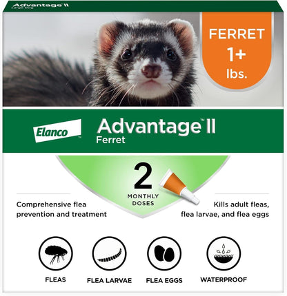 Advantage II Ferret Vet-Recommended Flea Treatment & Prevention | Ferret 1+ Lbs. | 2-Month Supply1