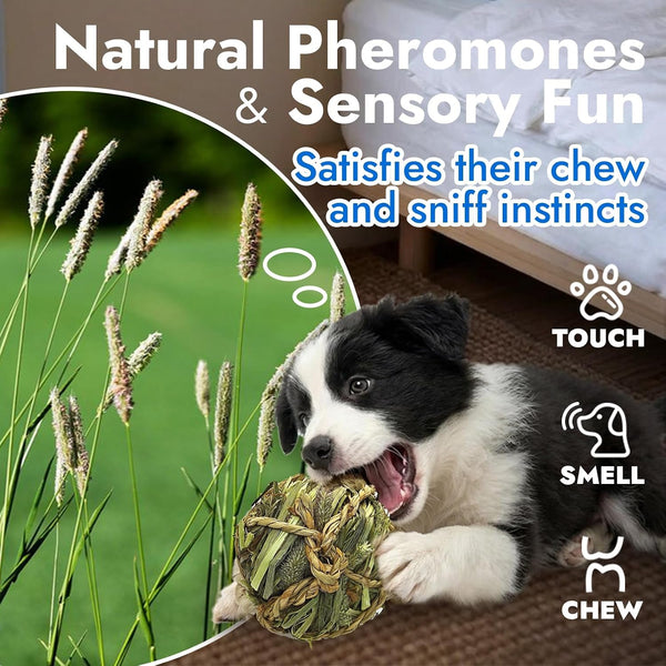 Dog Chew Toys, 3Pcs Woven Grass Chew Ball for Dogs, Dental Teething & Interactive Fetch Toys, Outdoor Digestible Chew Ball for Boredom Relief - Seaweed & Timothy Hay, Cornsilk, Cornleaf3