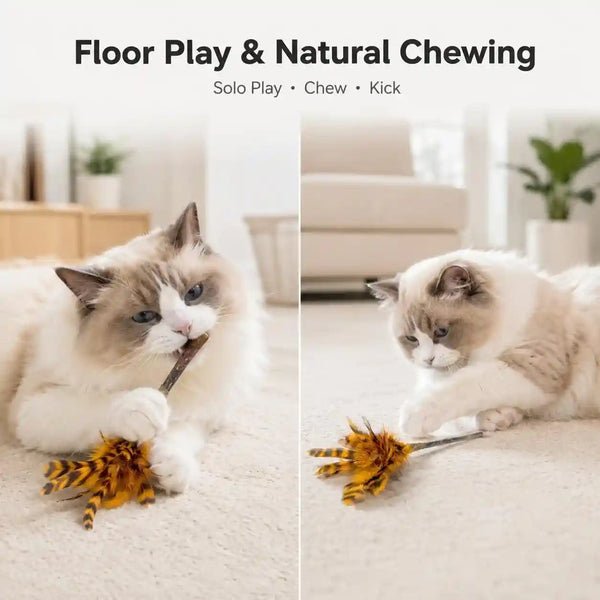 Silvervine Feather Cat Toys, 3 Pack Natural Matatabi Chew Toys for Indoor Cats, 8" Handmade Cat Toy for Chewing & Independent Play, Quiet Indoor Floor Play5