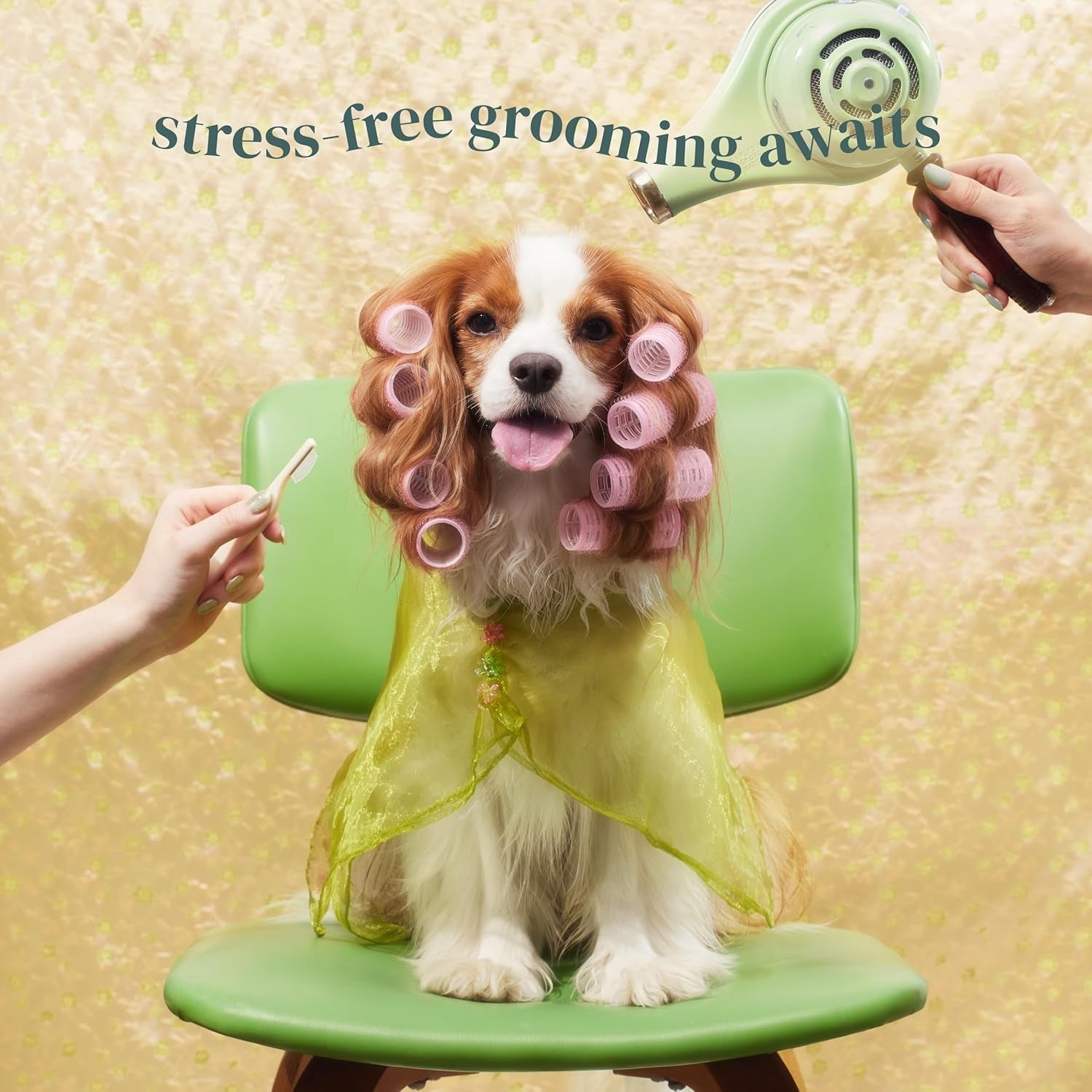 petora-brush-on-me-gentle-facial-eye-comb-for-dogs-cats-smooth-stress-free-tear-stain-remover-fine-tooth-grooming-tool-with-rounded-tips-comfortable-grip-for-daily-pet-grooming