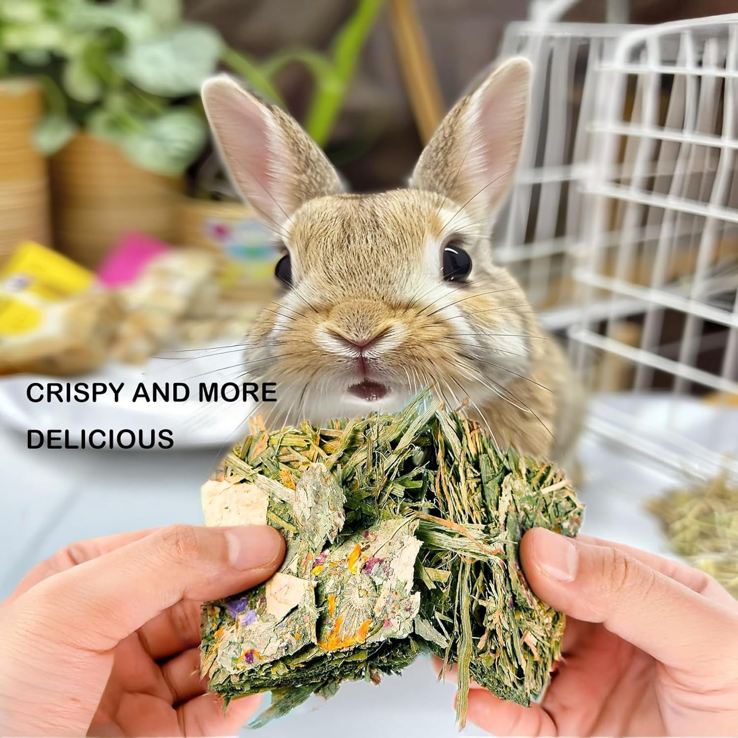 rabbit-chew-toys-12pcs-timothy-hay-treats-bunny-herbal-flower-snack-timothy-hay-chew-toys-with-herbal-flowers-crispy-snacks-for-small-pets-teeth