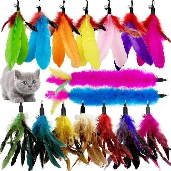 Cat Feather Toys Refill, 16 Pieces Cat Wand Replacement Feathers Toy for Indoor Cats1