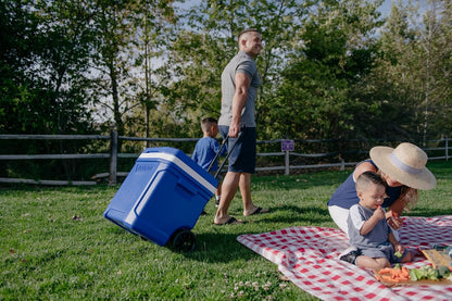 Hard Coolers | Profile II Series | Insulated Ice Chests | Roller Cooler with Wheels7
