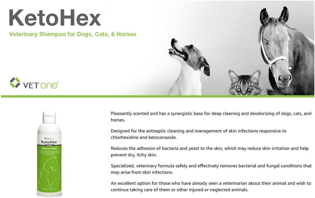 ketohex-cat-and-dog-shampoo-16-oz-anti-bacterial-cat-dog-flea-and-tick-treatment-for-sensitive-skin-infections-lesions-protects-moisturizes-antifungal-treatment-for-dogs-cats-vetone
