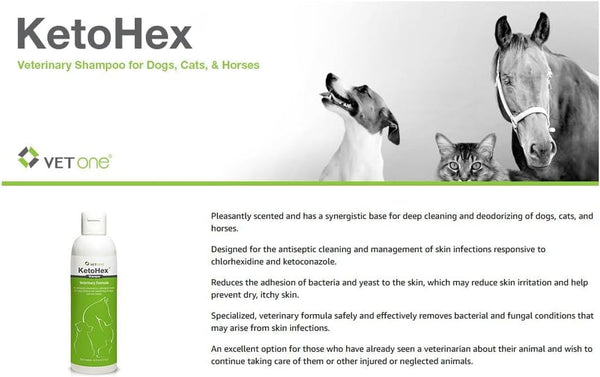 Ketohex Cat and Dog Shampoo - 16 Oz anti Bacterial Cat & Dog Flea and Tick Treatment, for Sensitive Skin Infections & Lesions, Protects & Moisturizes, Antifungal Treatment for Dogs & Cats - Vetone4