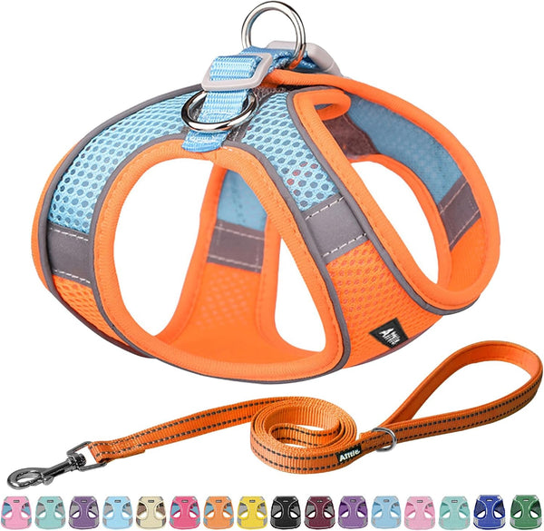 AIITLE No Pull Dog Harness and Leash Set, Step in Adjustable Dog Harness with Padded Vest for All Weather, Dog Leash with Soft Padded Handle, Easy to Put on Small and Medium Dogs Beige S15