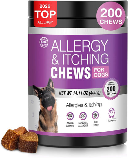 Dog Allergy Chews 200Ct - Dog Allergy and Itching Skin Relief anti Itch Aller Immune Bites for Dogs Licking Paws Treatment Relief Itchy Chew Probiotics Vitamins for Skin and Coat Allergies - Lamb | Probiotics & Vitamins Bites for Dogs Licking Paws.Anti-Itch Treatments to Soothe Allergies & Support Healthy Coat Health1