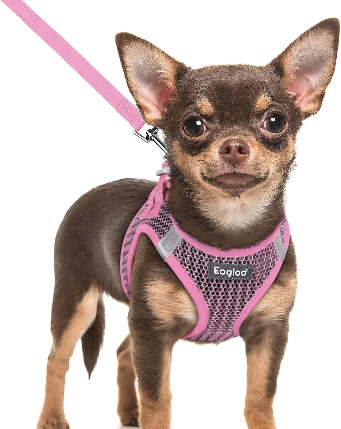 eagloo-small-dog-harness-and-leash-set-step-in-small-sized-puppy-pet-vest-light-soft-breathable-air-mesh-easy-on-and-off-with-hook-loop-reflective-for-safe-walking-pink-s