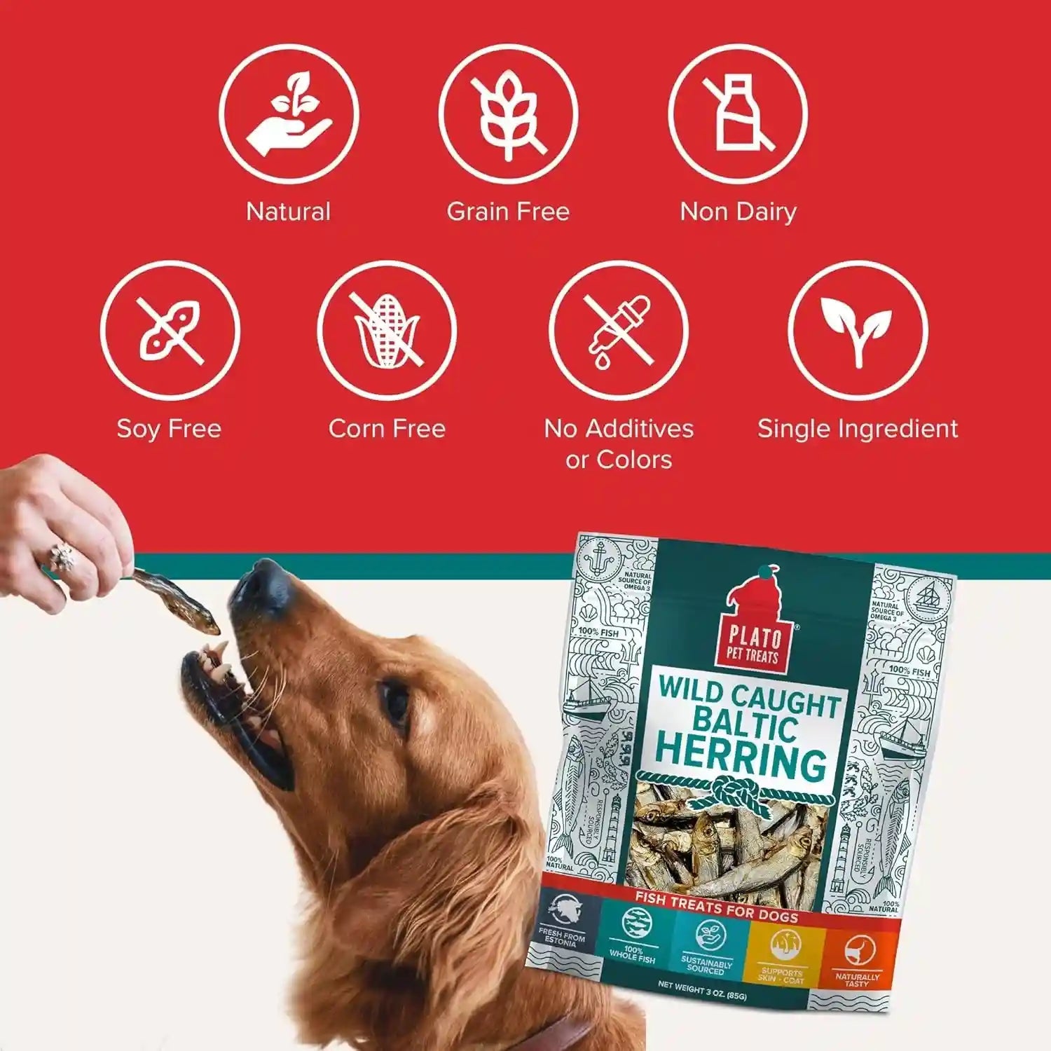plato-pet-treats-fish-dog-treats-air-dried-single-ingredient-pet-treat-omega-3-6-fatty-acids-to-support-skin-and-coat-100-whole-fish-wild-caught-baltic-herring-3oz-2-pack