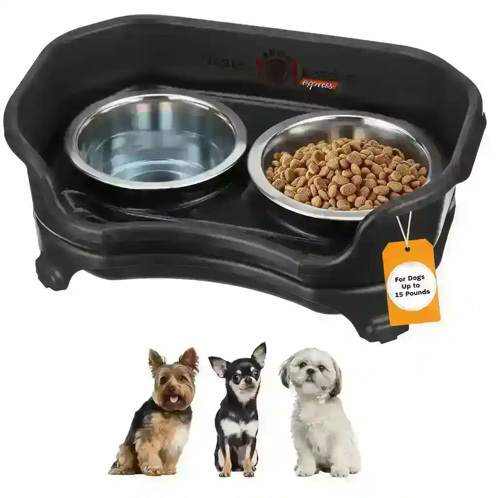 elevated-dog-feeder-with-two-stainless-steel-bowls-for-food-and-water-ideal-for-small-dogs-up-to-15-lbs
