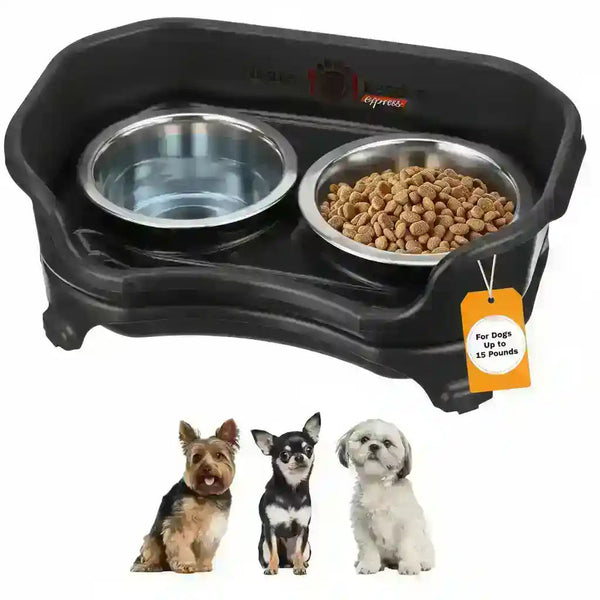 Elevated dog feeder with two stainless steel bowls for food and water, ideal for small dogs up to 15 lbs8