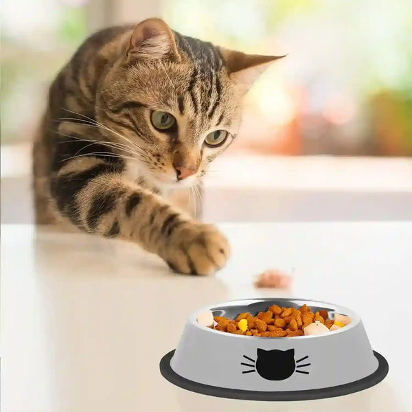 Tabby cat reaching for food in a cat bowl with whisker design, ideal for pet feeding essentials.6