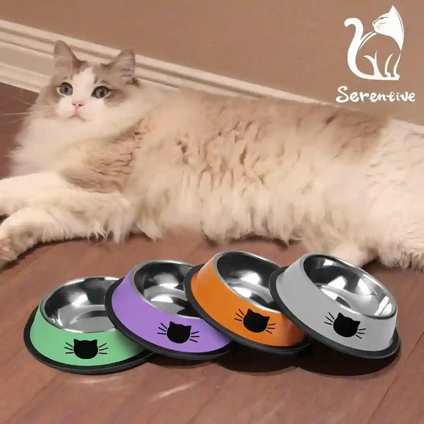 Fluffy cat with colorful stainless steel pet bowls featuring cat face designs on wooden floor7