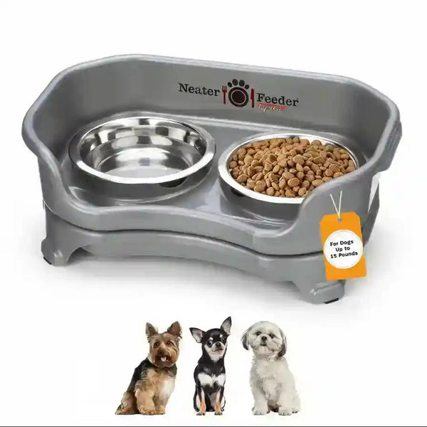 Elevated dog feeder with two stainless steel bowls, one with kibble, for small dogs up to 15 lbs.7