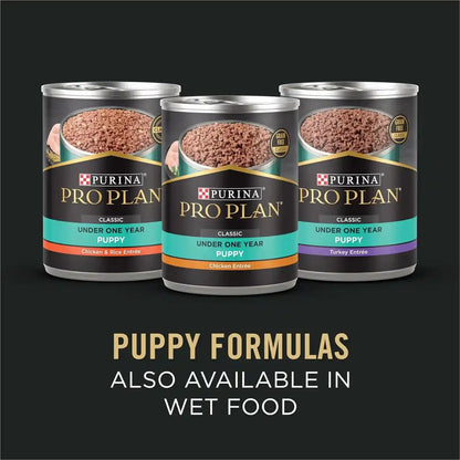 Purina Pro Plan Sensitive Skin and Stomach Large Breed Puppy Food Salmon and Rice Formula - 24 Lb. Bag8