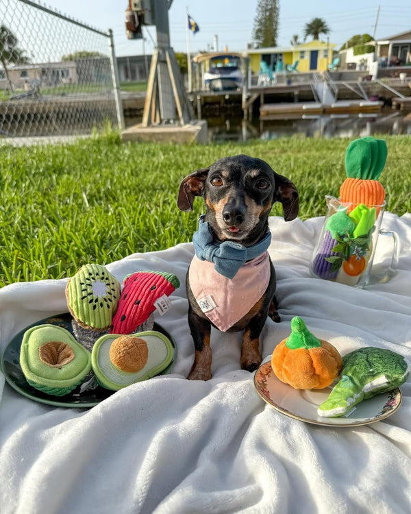 Nocciola Squeaky Fruits Veggies Stuffed Dog Toys Pack- Hide Seek Grocery Basket Crinkle Plush Puppy Toys to Keep Busy, Birthday Pet Supplies Gifts for Small Medium Breeds7