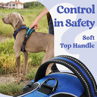 Rabbitgoo Dog Harness Medium Sized, Updated Easy on & off with 3 Buckles | No Pull No Choke, Walking with 2 Clips and Handle, Adjustable Soft Reflective, Blue, Medium5