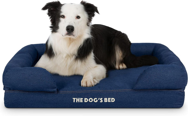 The Dog’S Bed Orthopedic Memory Foam Dog Bed with Bolsters for Large Dogs, High Density Support Mattress, Low Front Entry, Removable Washable Cover, Oxford Fabric, Blue with Dark Red Trim, Large20