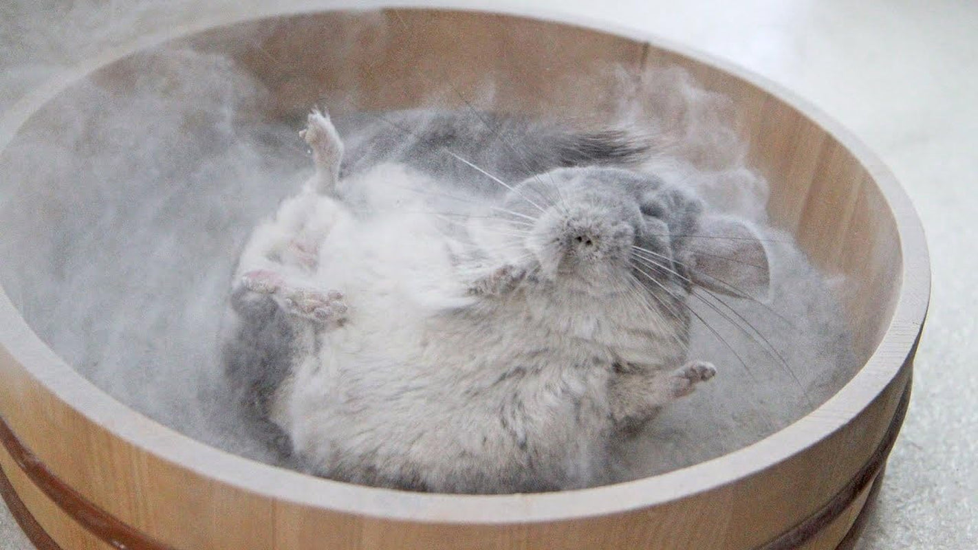 lixit-blue-beauty®-chinchilla-dust-powder-dry-bath-grooming-dust-for-hamsters-gerbil-degus-and-small-animals-made-in-the-usa-3-pound