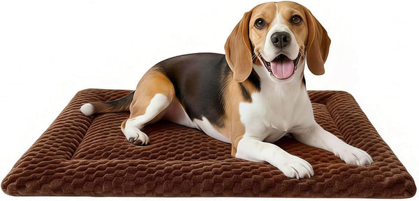 Dog Bed Mat, Dual-Sided Dog Crate Bed Mat - Ultra Soft & Machine Washable Kennel Pad for Small Dogs, All-Season Comfort Pet Bed for Crates, Travel, and Home, Star Gray, 24 X 16 Inch13
