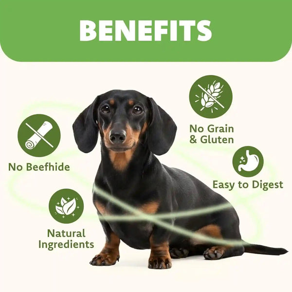 MON2SUN Dog Treats, 4.5-4.7 Inch Chicken Wrapped Codfish Sticks, 14.11 Oz | 40 Count Pack, Soft Chewy Texture, Low-Fat Recipe, Rawhide-Free Daily Treats, Suitable for Small Dogs3