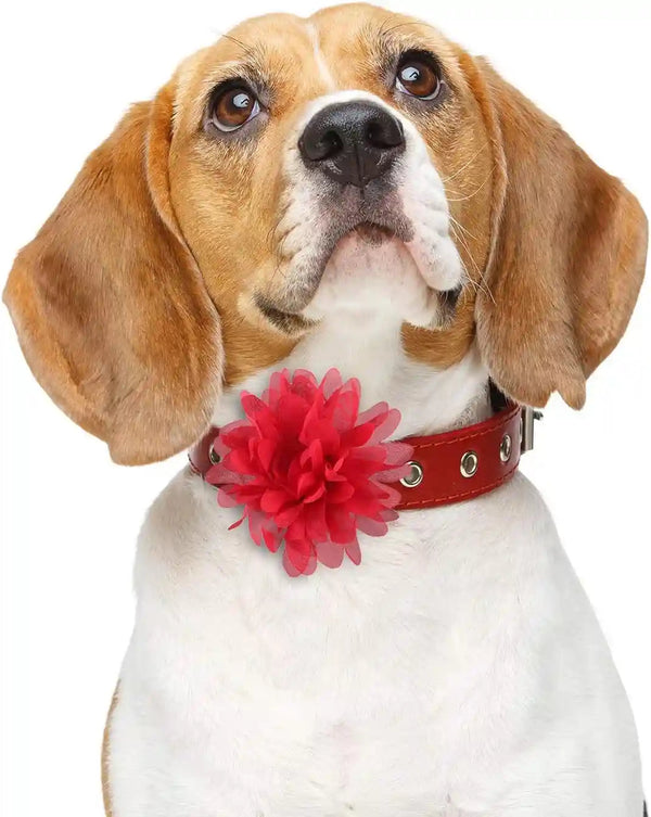 20 Pcs 4.7 Inch Dog Collar Flowers Bow Multicolored Pet Bow Collar Charms Accessories for Puppy Cat Dog Pet Grooming Accessories6