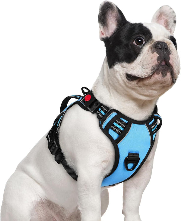 Rabbitgoo Large Dog Harness, Easy Wear with 3 Buckles and Lift Handle | No Pull with Front Clip for Walking, Adjustable Soft Padded, Reflective, Easy Control, Pink, Large37