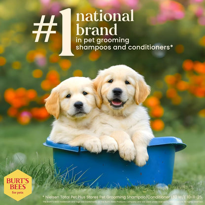Burt’S Bees for Pets Tear Free Puppy Shampoo & Conditioner with Buttermilk, 2 in 1 Gentle Dog Shampoo for Puppies, Cleans and Conditions Sensitive Skin, 16 Fl Oz | Gentle 2-In-1 Formula Cleans and Conditions Sensitive Puppy Skin and Coat; Tearless for Easy Bath Time7