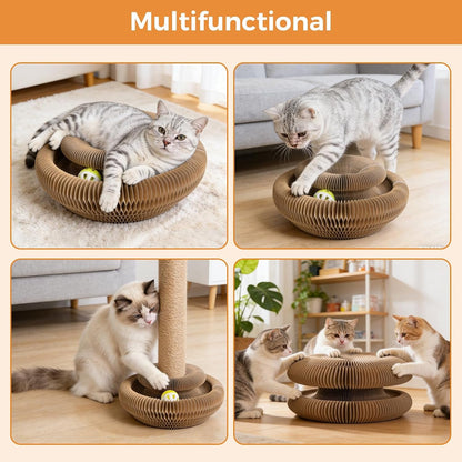 2-Pack Cardboard Cat Toy with Ball Track, Foldable Cat Scratcher Ring, Fexible Magic Organ Cat Toy for Scratch, Chase, Lounge, Indoor Exercise, Furniture Protection and Multi-Cat Homes7