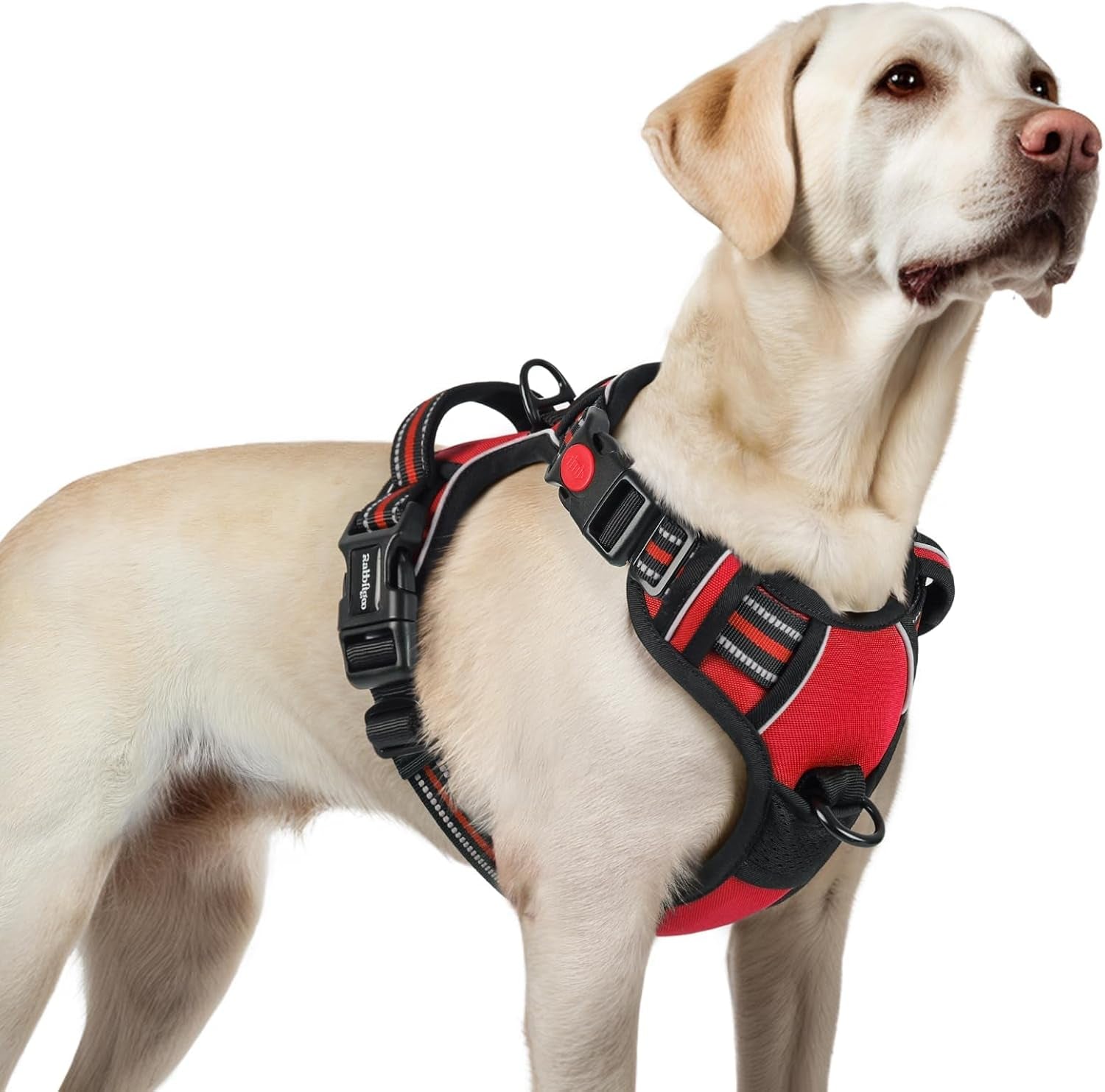 rabbitgoo-dog-harness-medium-sized-updated-easy-on-off-with-3-buckles-no-pull-no-choke-walking-with-2-clips-and-handle-adjustable-soft-reflective-blue-medium