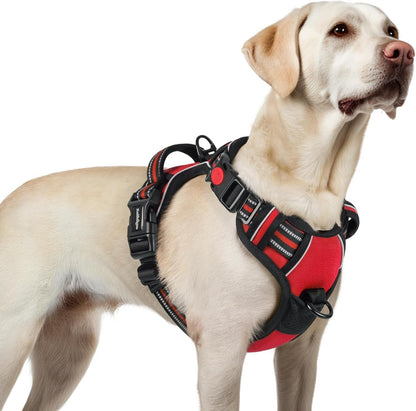 Rabbitgoo Dog Harness Medium Sized, Updated Easy on & off with 3 Buckles | No Pull No Choke, Walking with 2 Clips and Handle, Adjustable Soft Reflective, Blue, Medium14