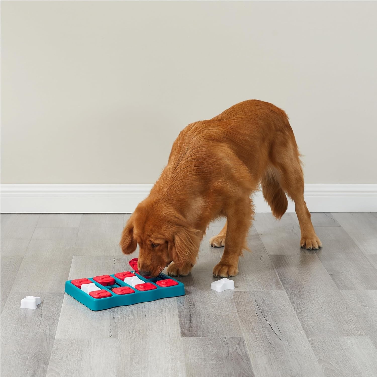 outward-hound-by-nina-ottosson-dog-brick-interactive-treat-puzzle-enrichment-toy-level-2-intermediate